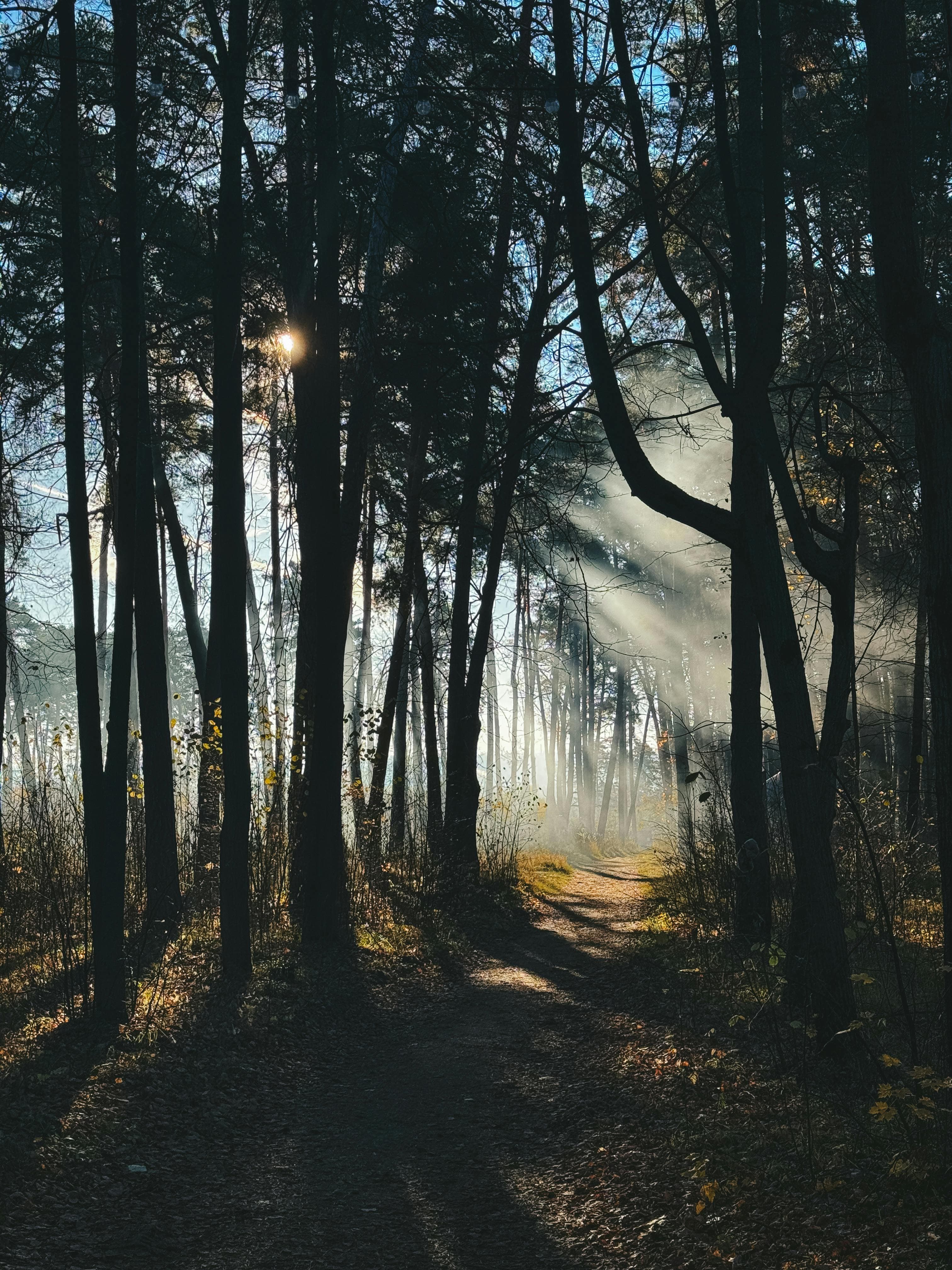 NeuroFit Preventieve coaching